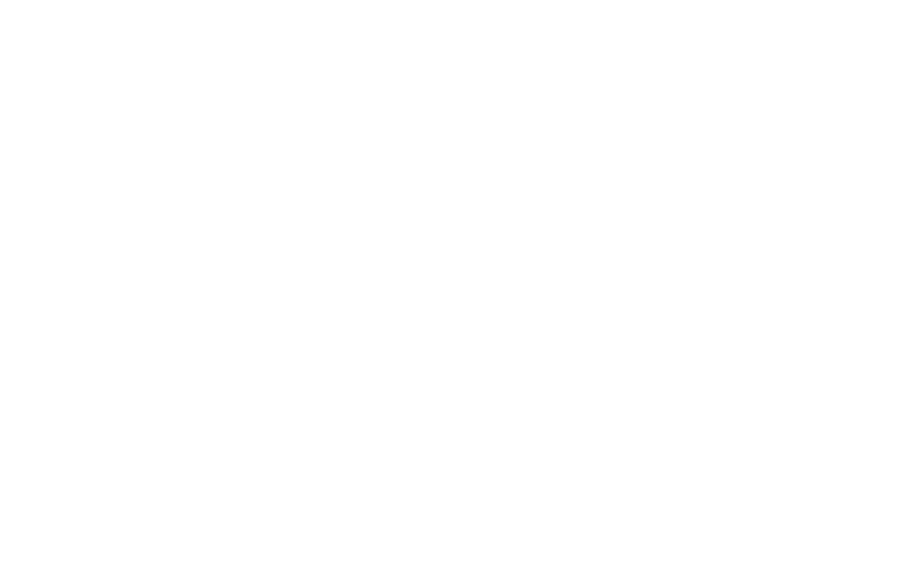 RENEW SALON